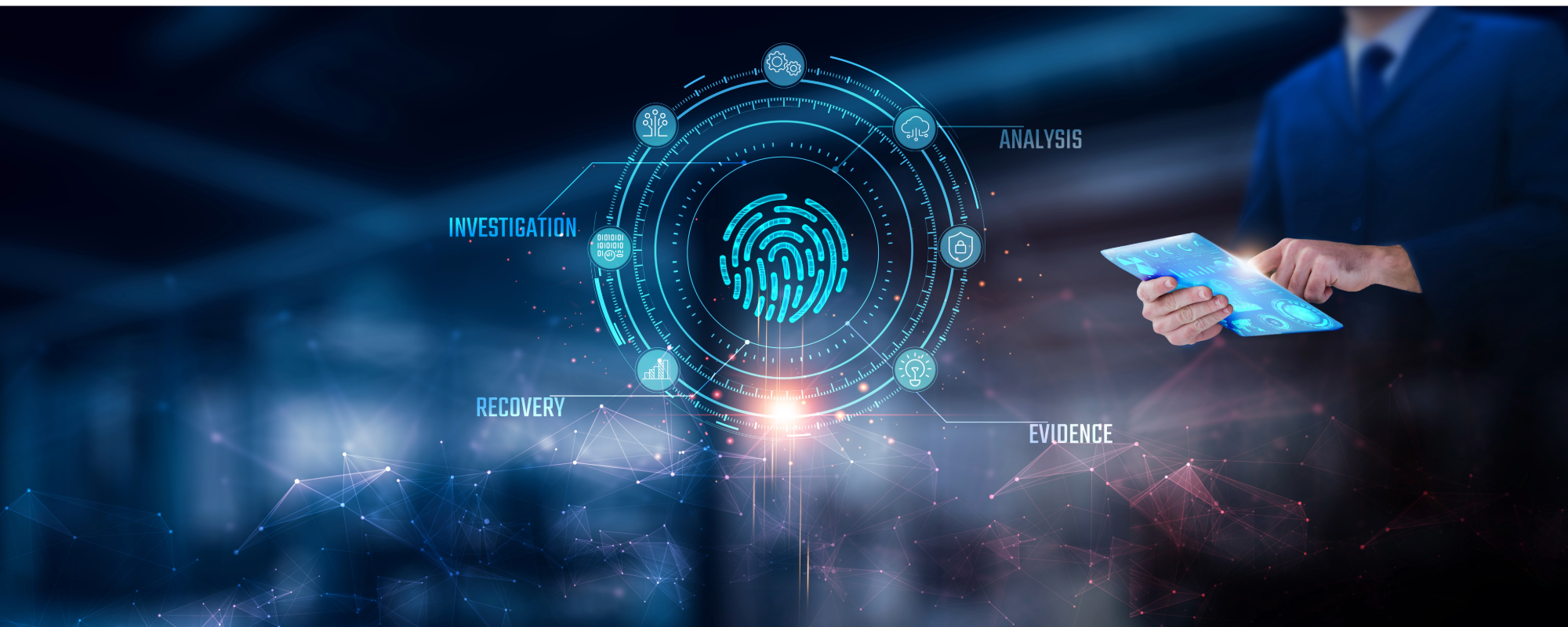 Fraud investigation and financial analysis